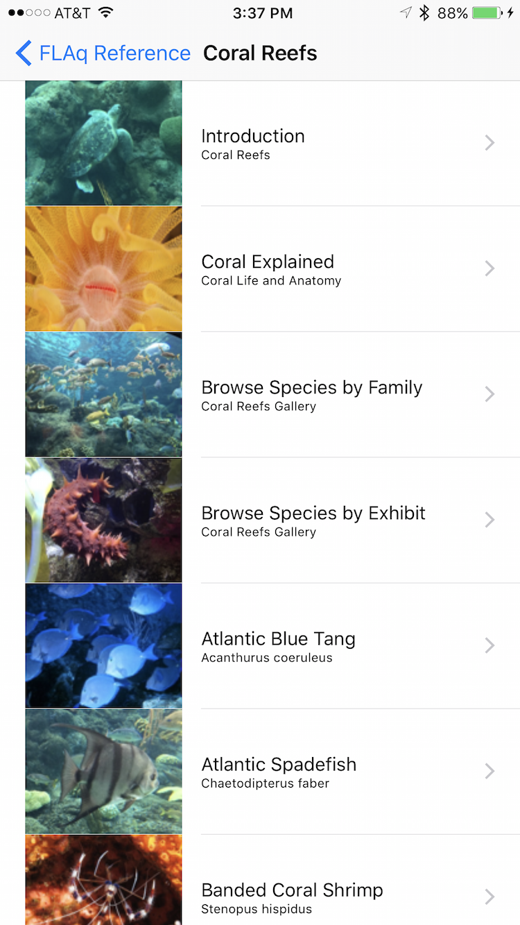 Coral Reefs Gallery